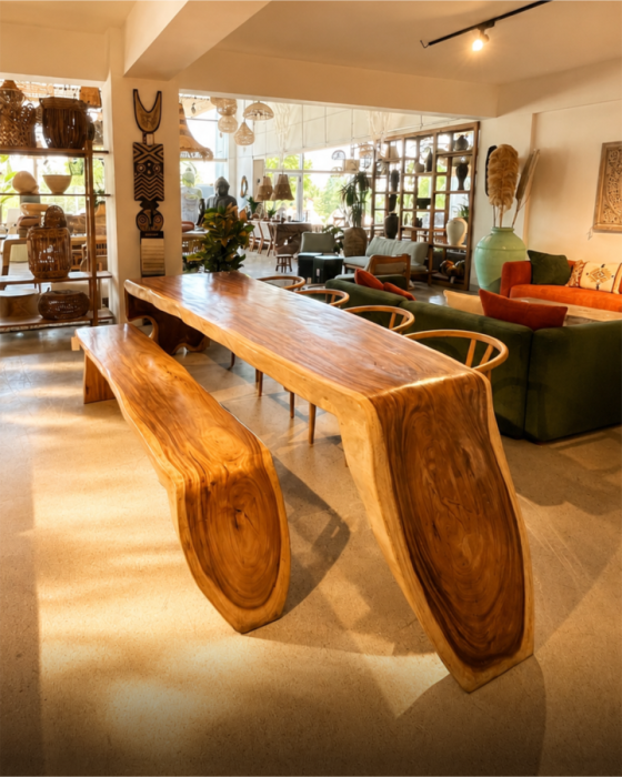 Inara Concept vitrin görseli 15